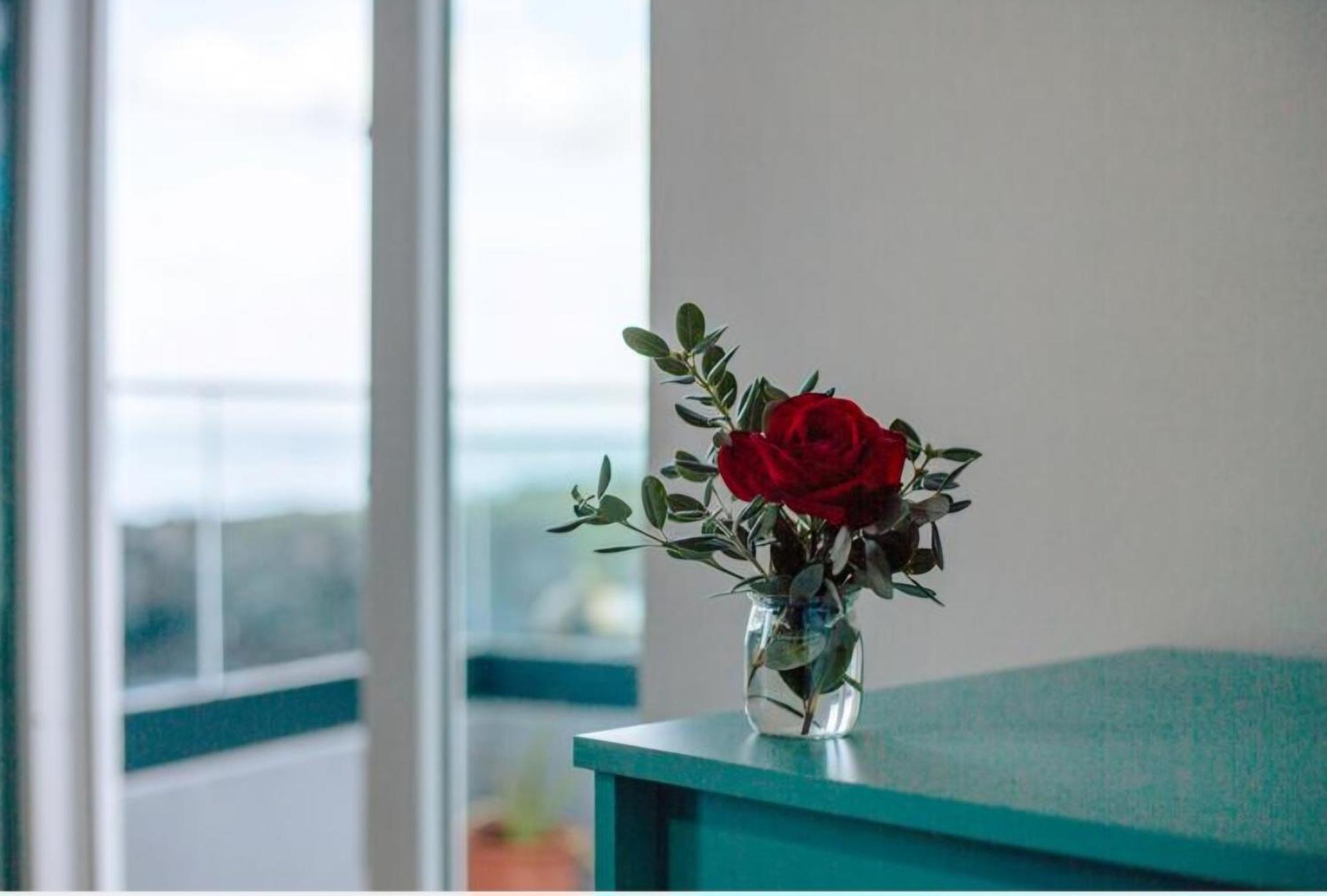 Casa Dos Avos Apartment São Vicente Екстериор снимка